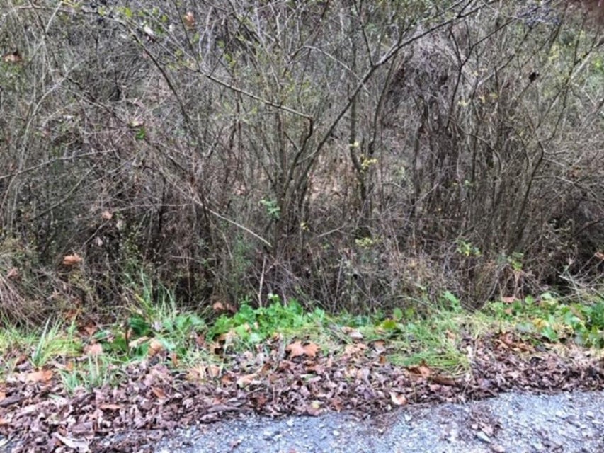 Photo #1: TBD Sharrett Road