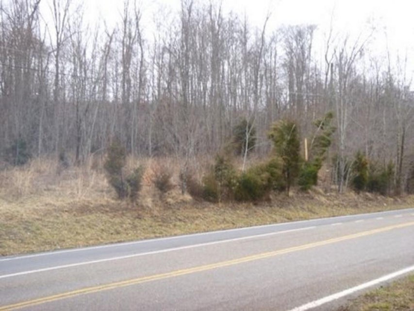 Photo #6: - Highway 126