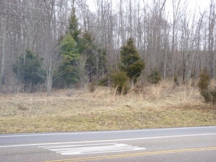 Photo #5: - Highway 126