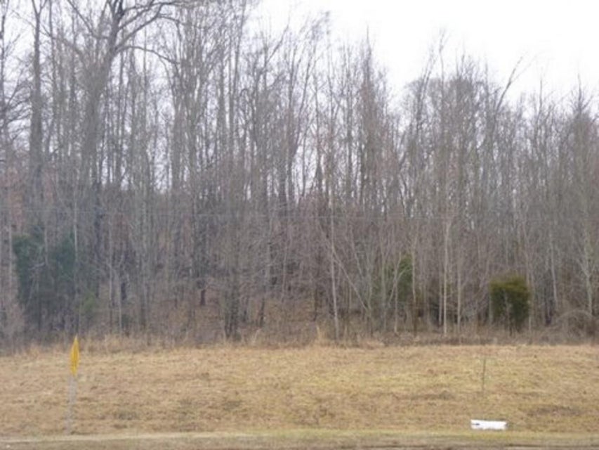 Photo #3: - Highway 126