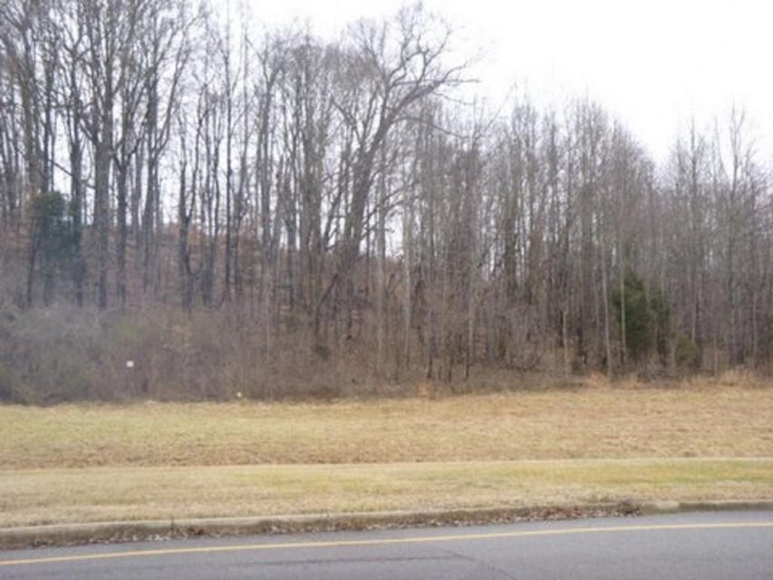 Photo #2: - Highway 126