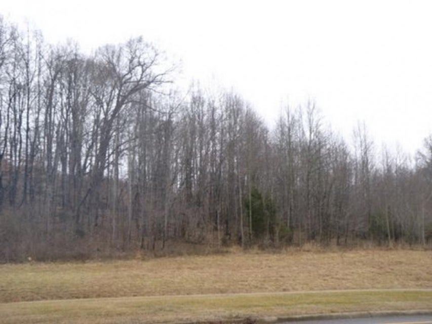 Photo #1: - Highway 126
