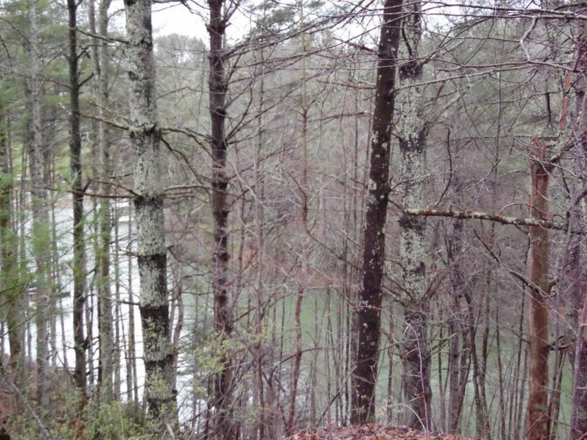 Photo #5: TBD Moody Road