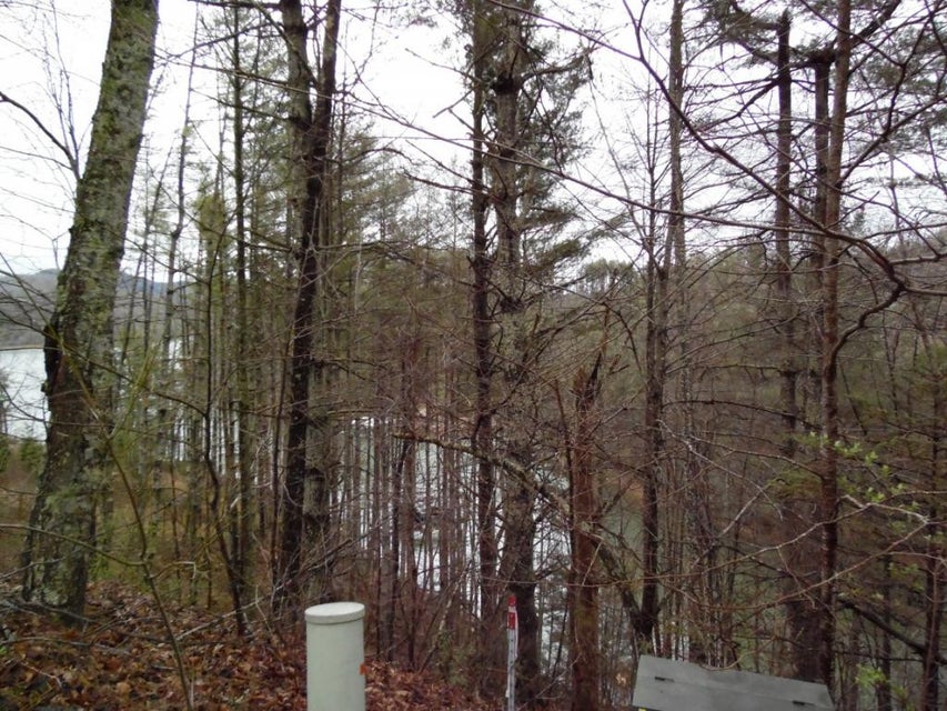 Photo #3: TBD Moody Road