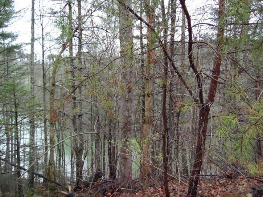 Photo #2: TBD Moody Road