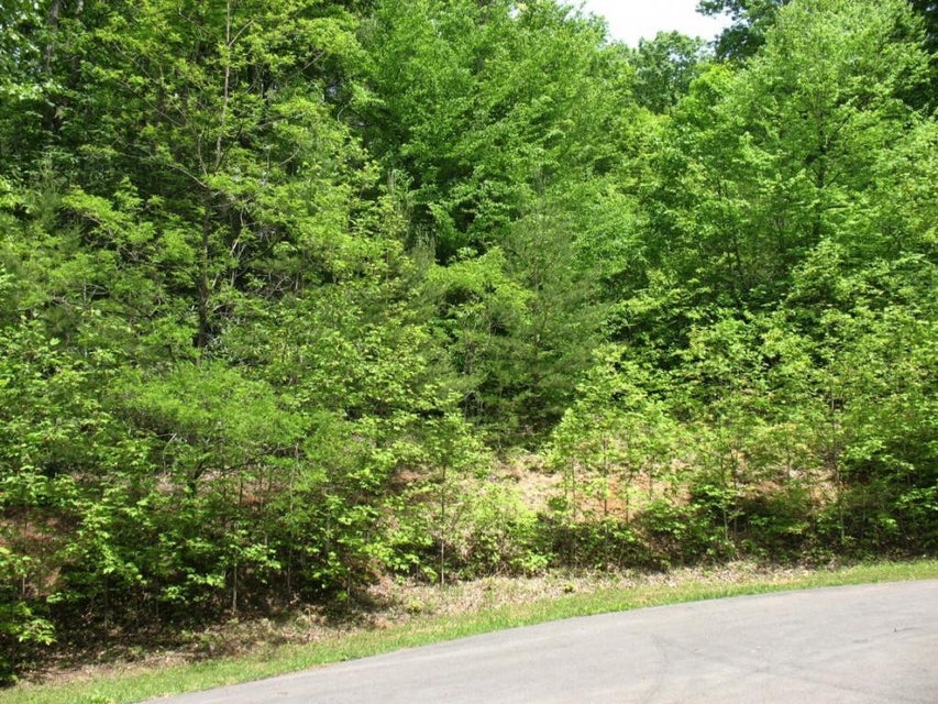 Photo #8: Lot 12 Pfeiffer Ridge Road
