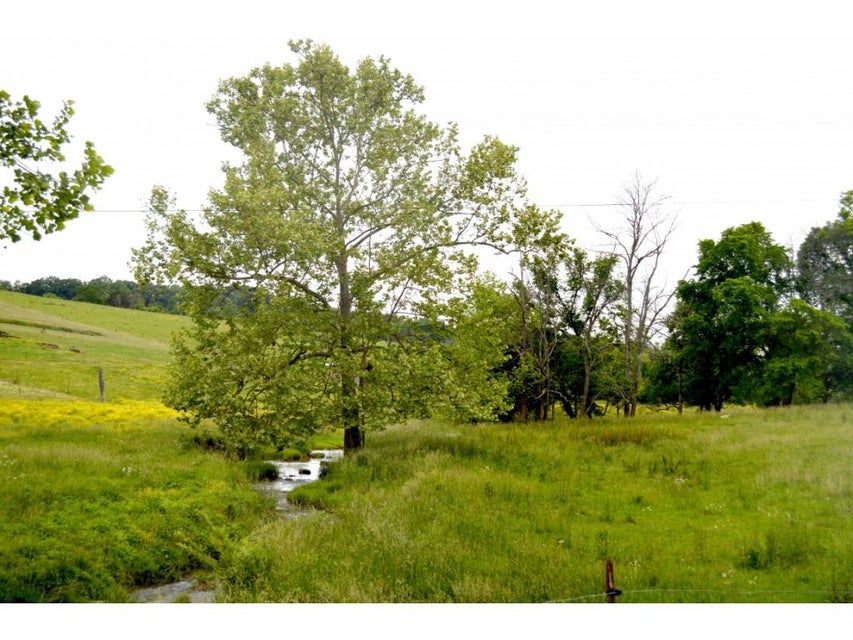Photo #24: 1400 Gibson Road