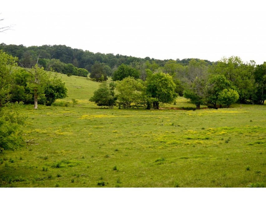 Photo #25: 1400 Gibson Road