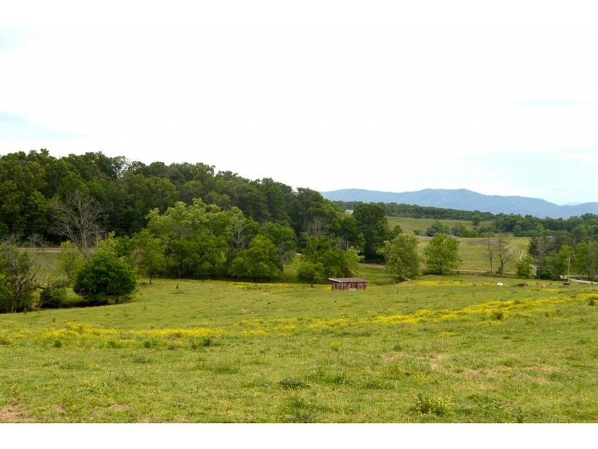 Photo #23: 1400 Gibson Road