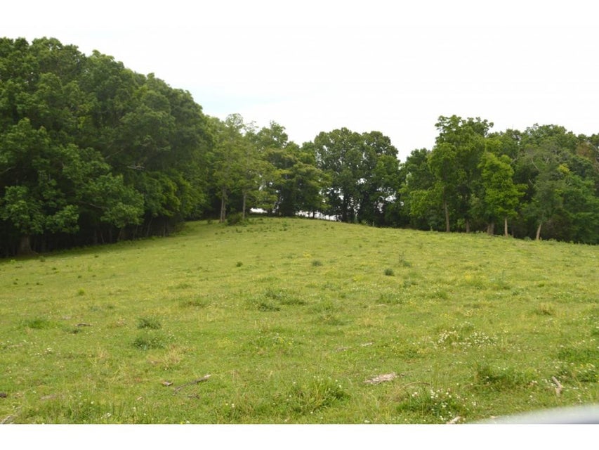 Photo #21: 1400 Gibson Road