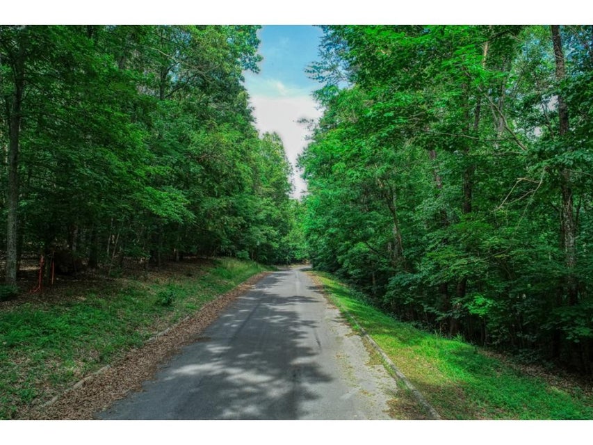 Photo #4: Lot 67 Brooks Pointe Drive