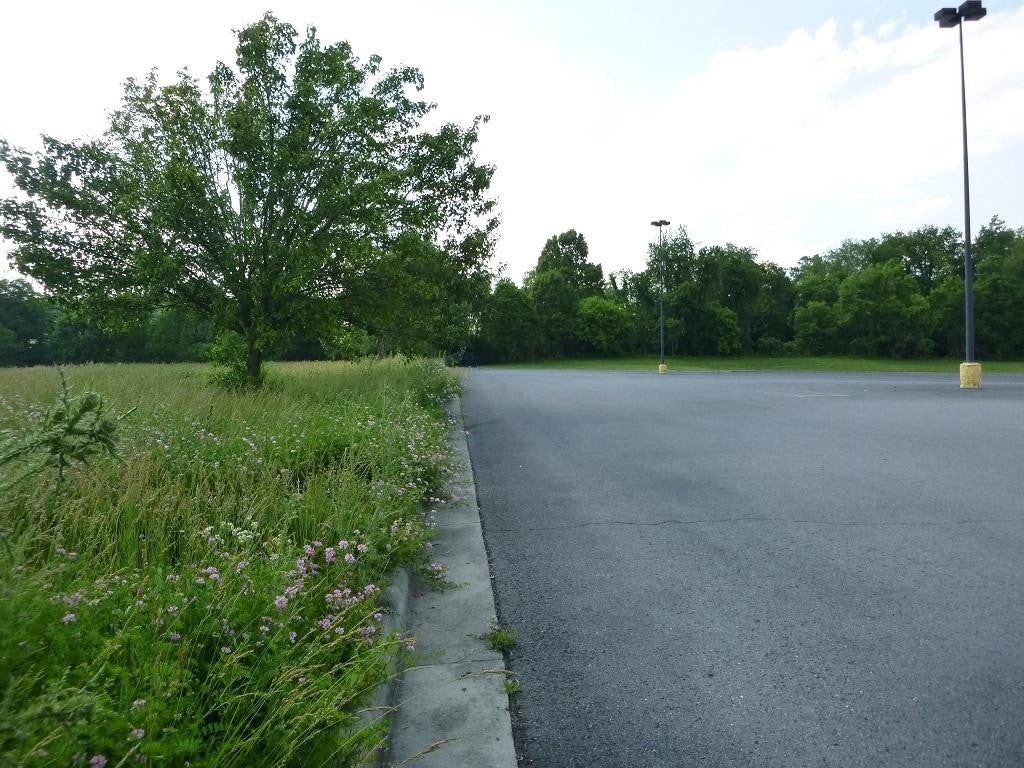 Photo #4: - Super Center Drive