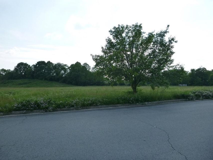 Photo #3: - Super Center Drive