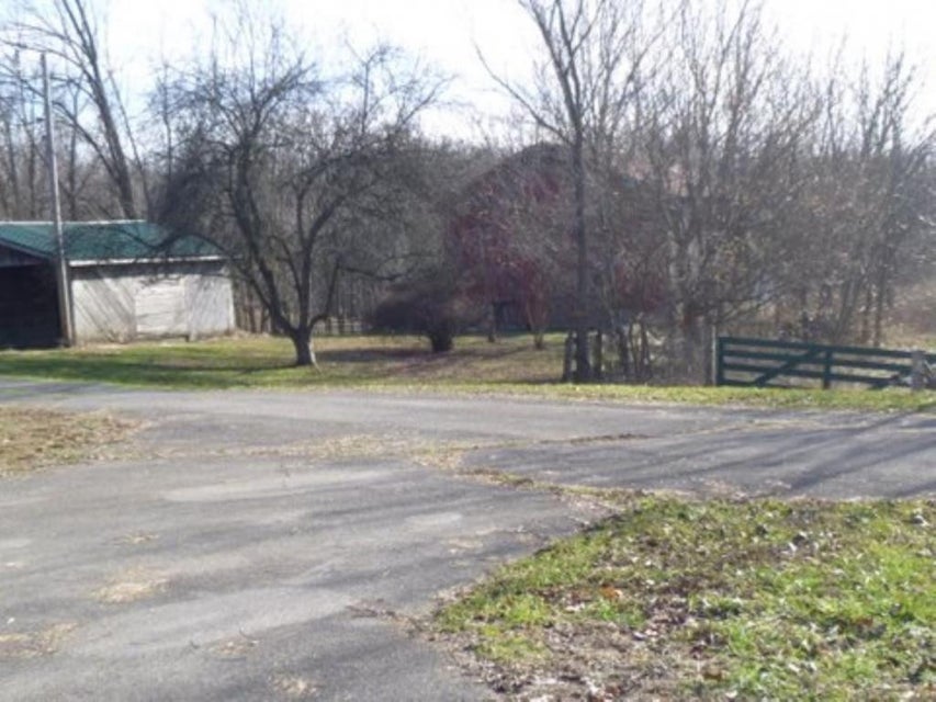 Photo #10: 847 Mitchell Road