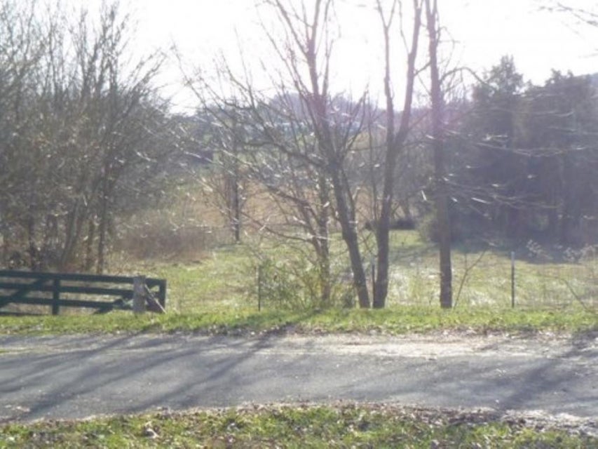 Photo #9: 847 Mitchell Road