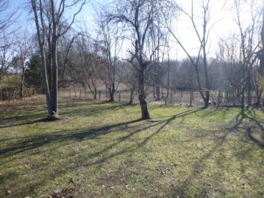 Photo #3: 847 Mitchell Road