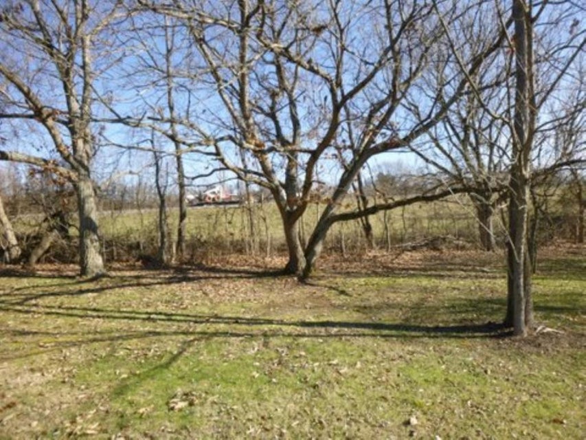 Photo #2: 847 Mitchell Road