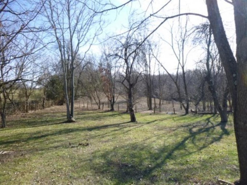 Photo #1: 847 Mitchell Road