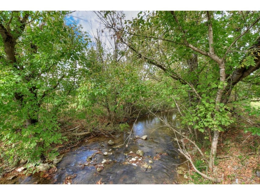 Photo #15: TBD Roaring Fork Road