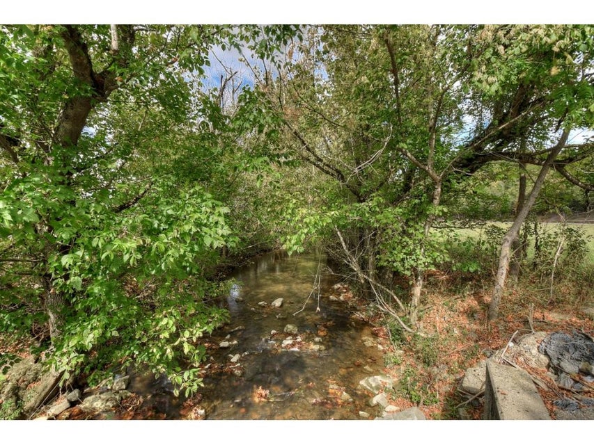 Photo #10: TBD Roaring Fork Road