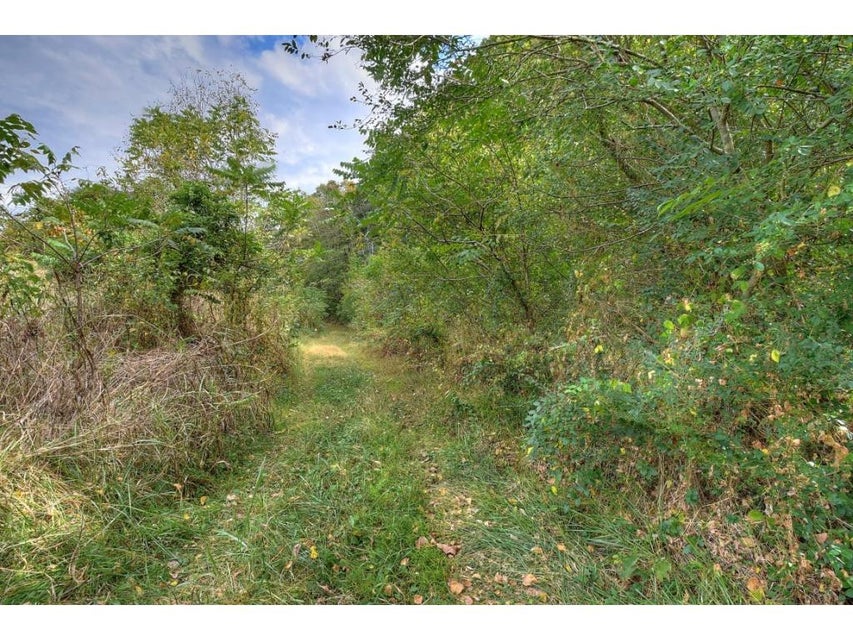 Photo #7: TBD Roaring Fork Road
