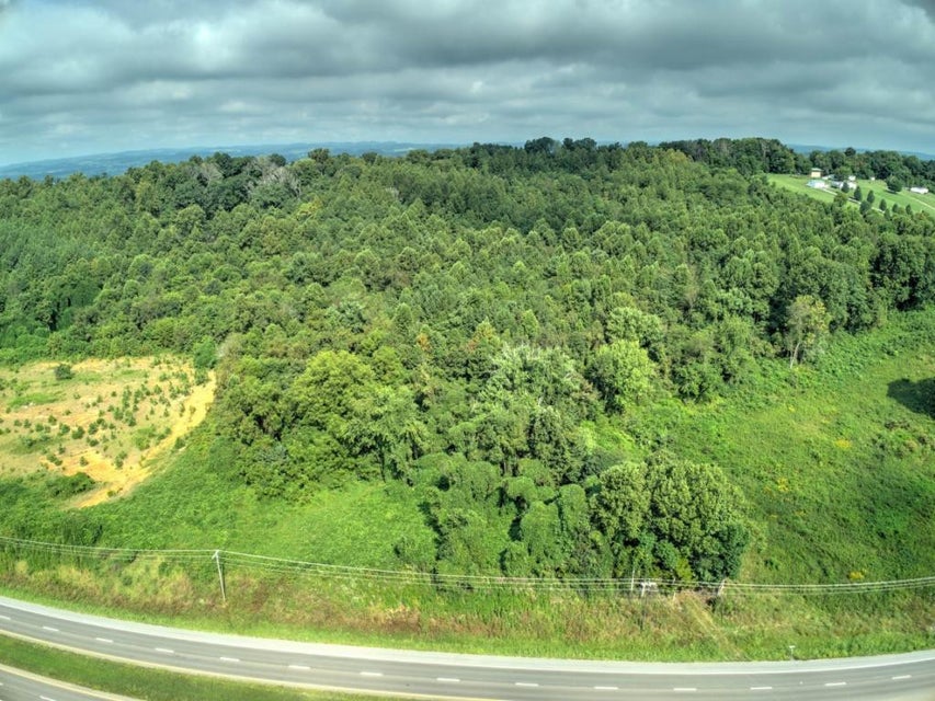 Photo #11: Tbd Highway 11e