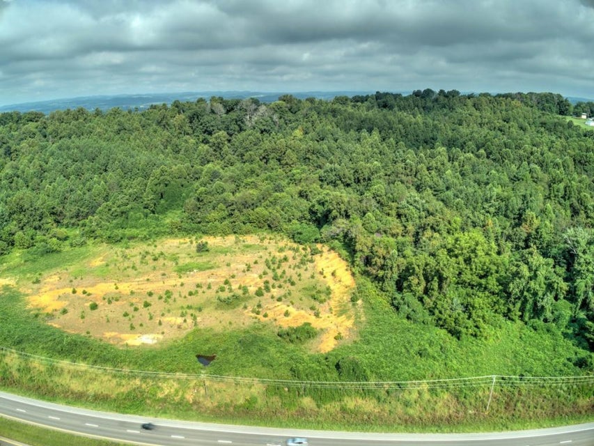 Photo #10: Tbd Highway 11e