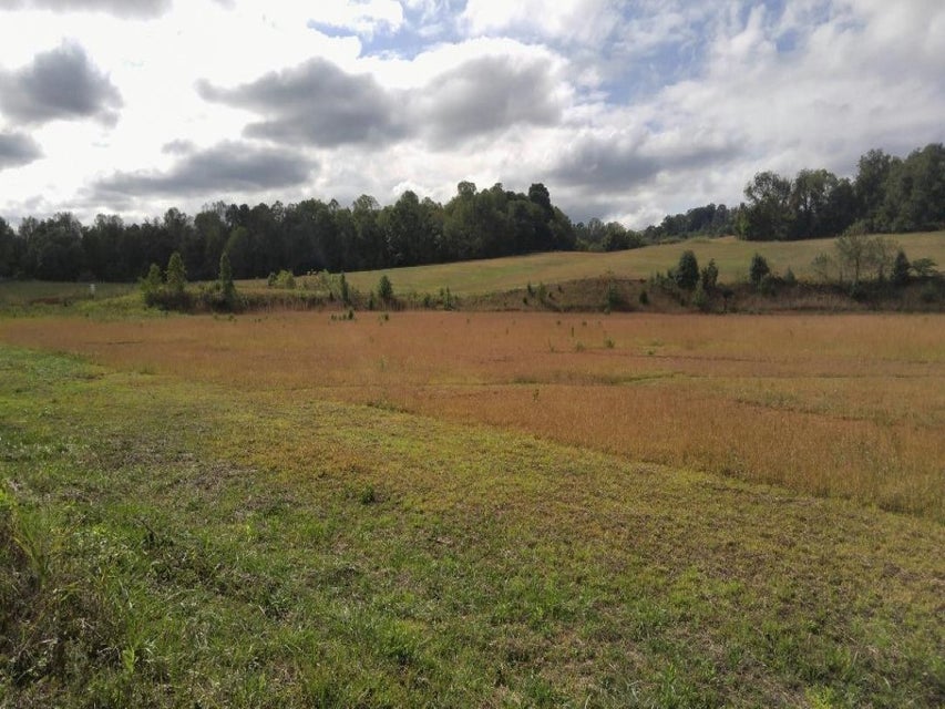 Photo #4: TBD Mountain View Road