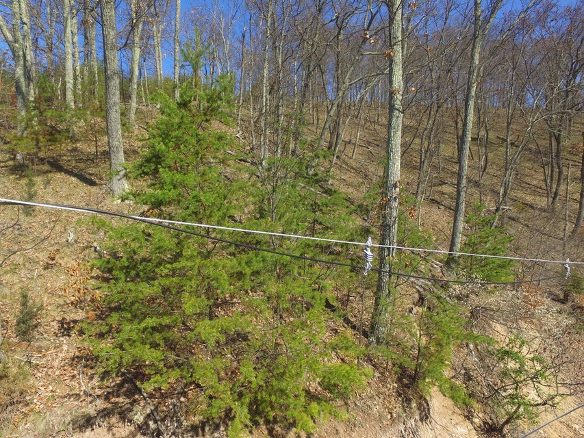 Photo #23: 1167 Keetowah Drive