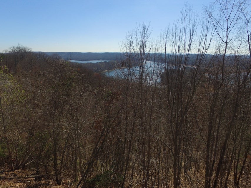 Photo #19: 1167 Keetowah Drive