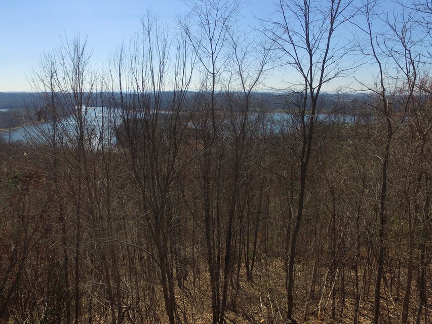 Photo #18: 1167 Keetowah Drive