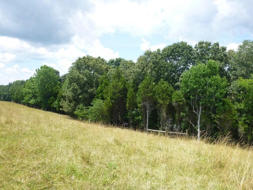 Photo #32: 971 Old Union Road