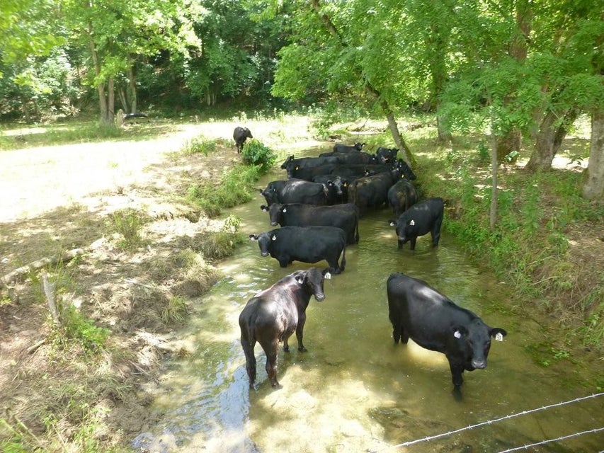 Photo #7: 971 Old Union Road