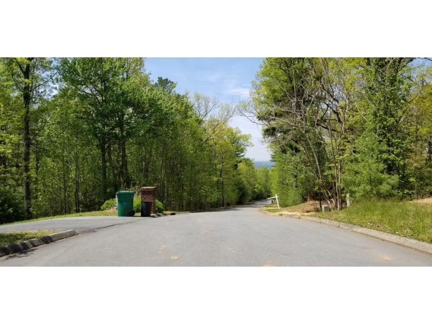 Photo #35: Tr 8 Mountain Laurel Court