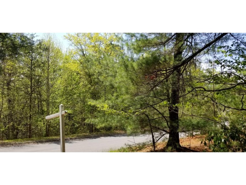 Photo #32: Tr 8 Mountain Laurel Court