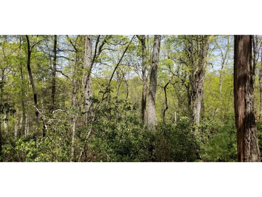 Photo #31: Tr 8 Mountain Laurel Court