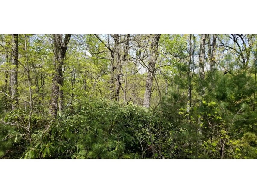 Photo #28: Tr 7 Mountain Laurel Court