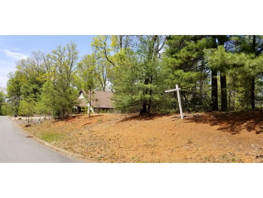 Photo #27: Tr 7 Mountain Laurel Court