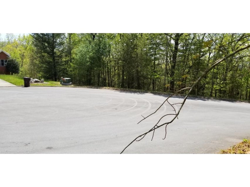 Photo #30: Tr 9 Mountain Laurel Court