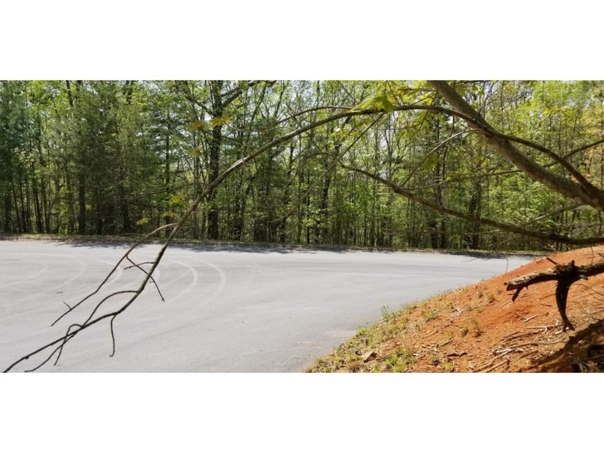 Photo #29: Tr 9 Mountain Laurel Court