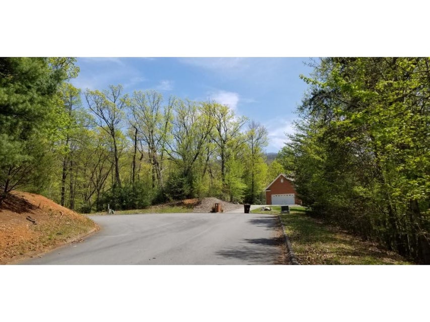 Photo #21: Tr 8 Mountain Laurel Court