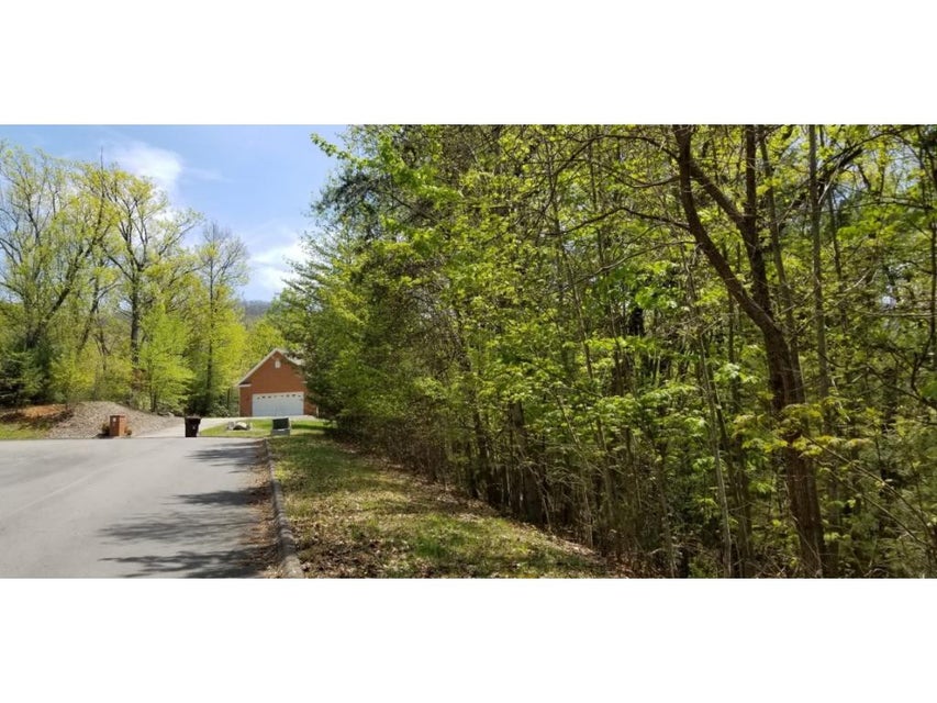 Photo #20: Tr 7 Mountain Laurel Court