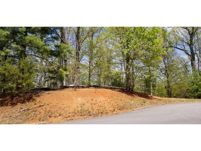 Photo #25: Tr 9 Mountain Laurel Court