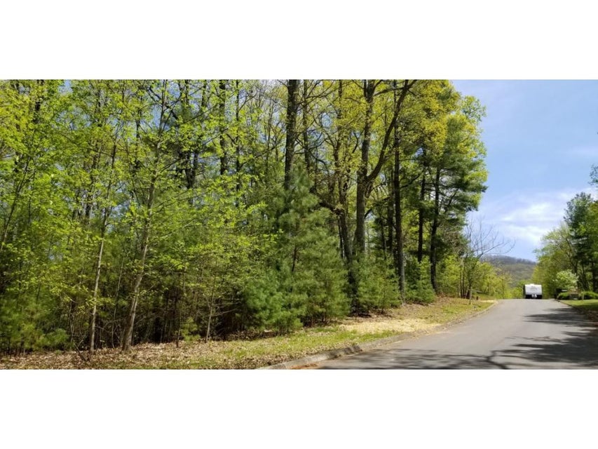 Photo #19: Tr 7 Mountain Laurel Court