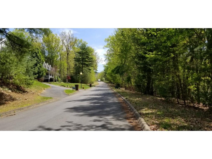 Photo #15: Tr 8 Mountain Laurel Court