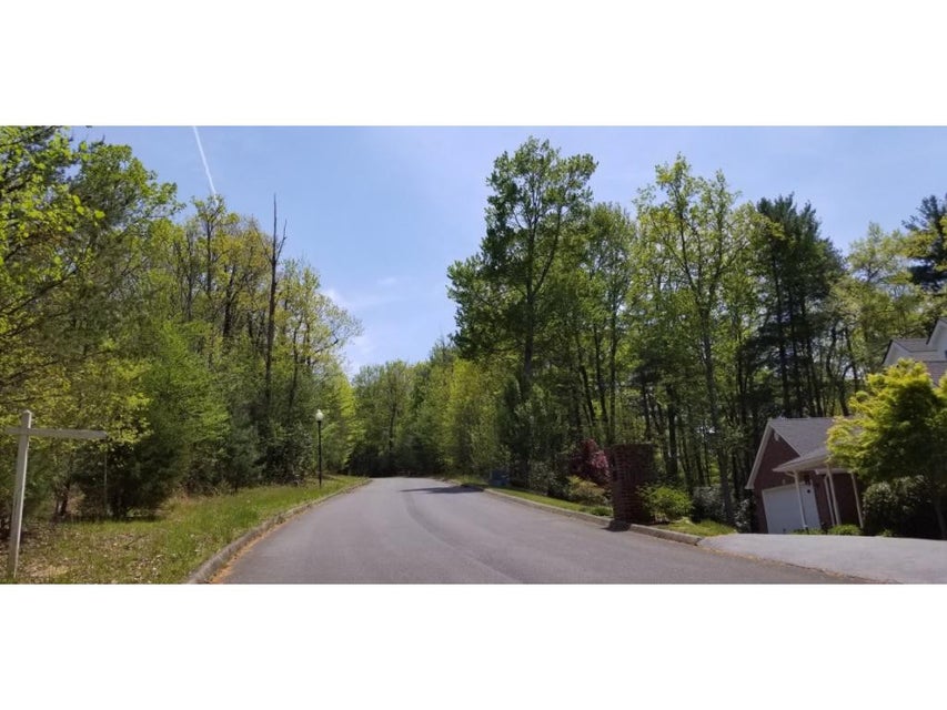 Photo #11: Tr 8 Mountain Laurel Court