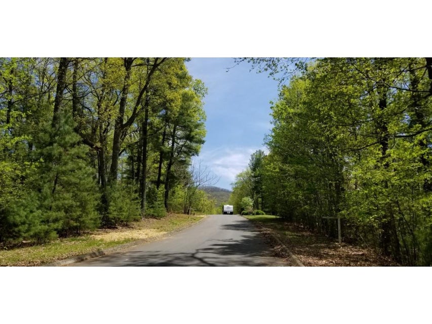 Photo #17: Tr 9 Mountain Laurel Court