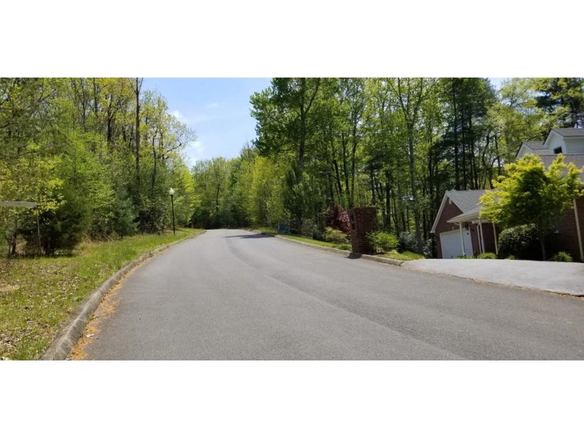 Photo #9: Tr 8 Mountain Laurel Court