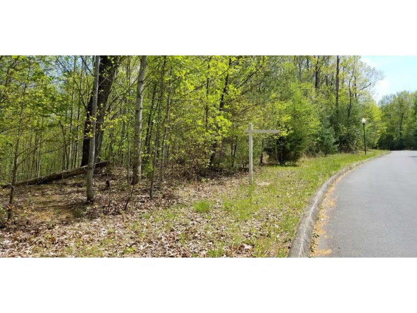 Photo #8: Tr 7 Mountain Laurel Court