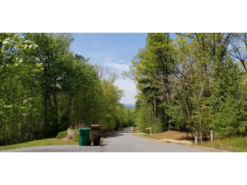 Photo #36: Tr 11 Mountain Laurel Court